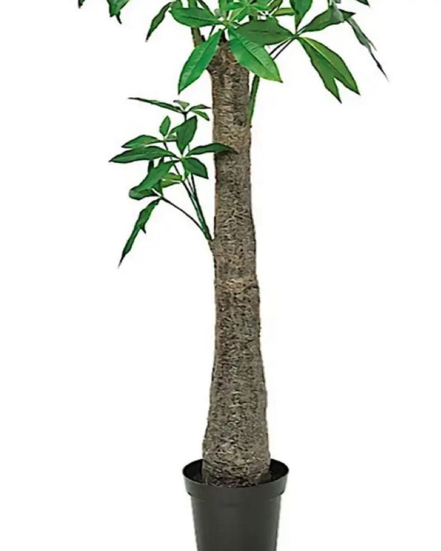 光触媒　人工観葉植物　ウォールグリーン　フェイクグリーン　太パキラ150