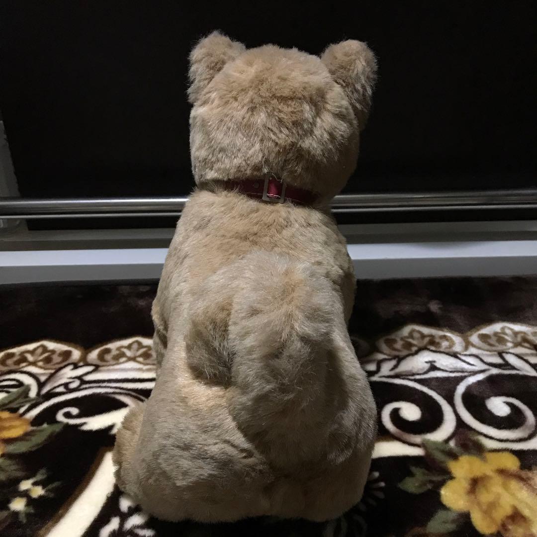 ぬいぐるみ 犬 いぬ 日本犬 光 ひかる ファースト社 レトロ❣️ - メルカリ