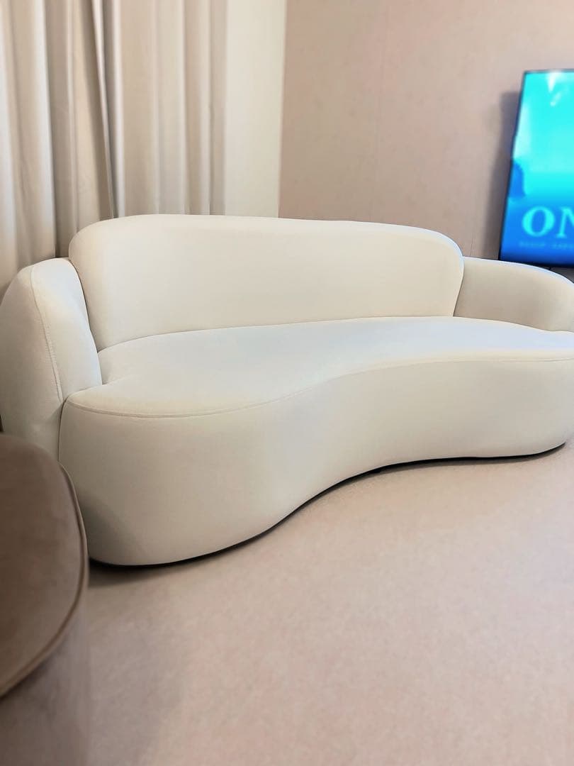 モダン曲線デザインソファ