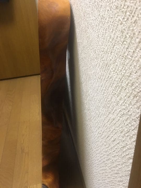 ☆屋久杉特大敷台☆小テーブル☆カフェテーブル☆