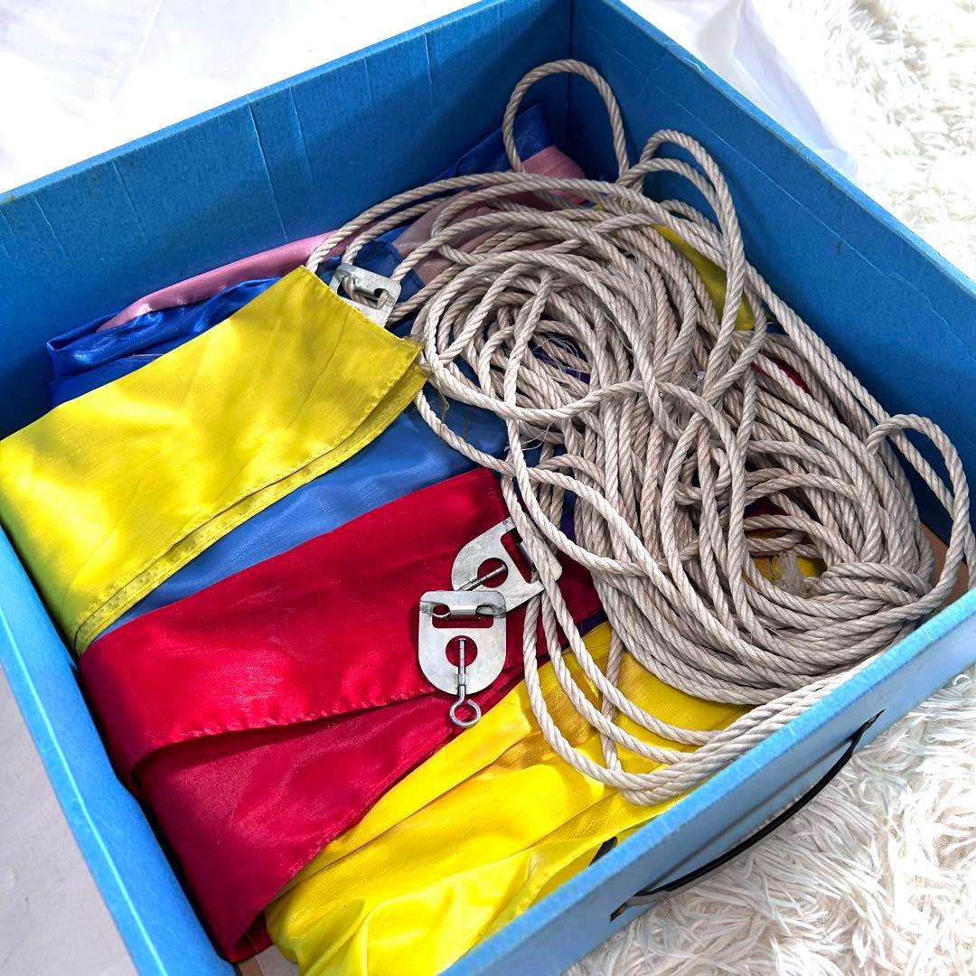 東レ　ピカピカ　太郎鯉　王者の風格　当時物　サイズ4