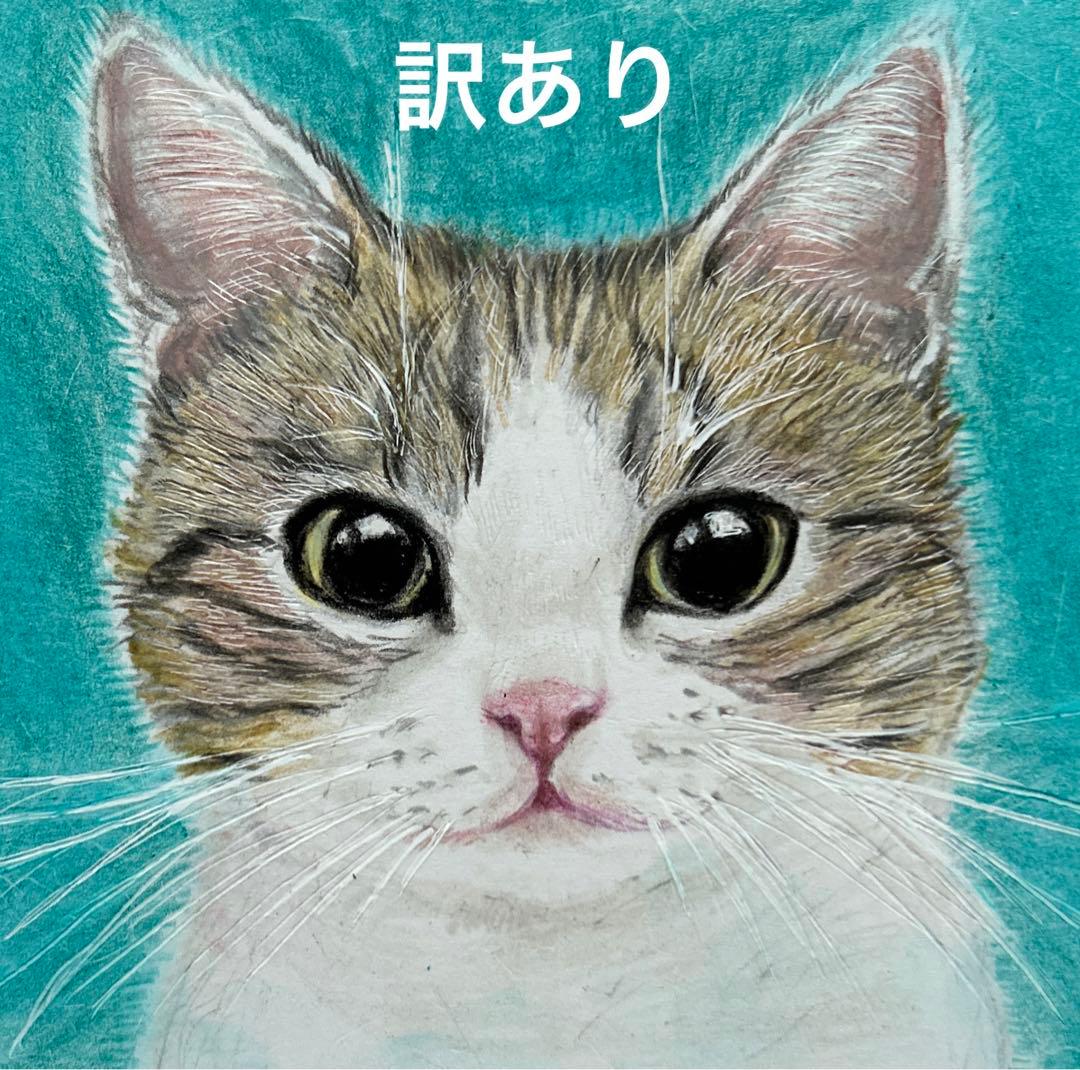 猫 絵画 子猫 イラスト 水彩色鉛筆 油彩色鉛筆 原画 キジ白猫ちゃん 訳