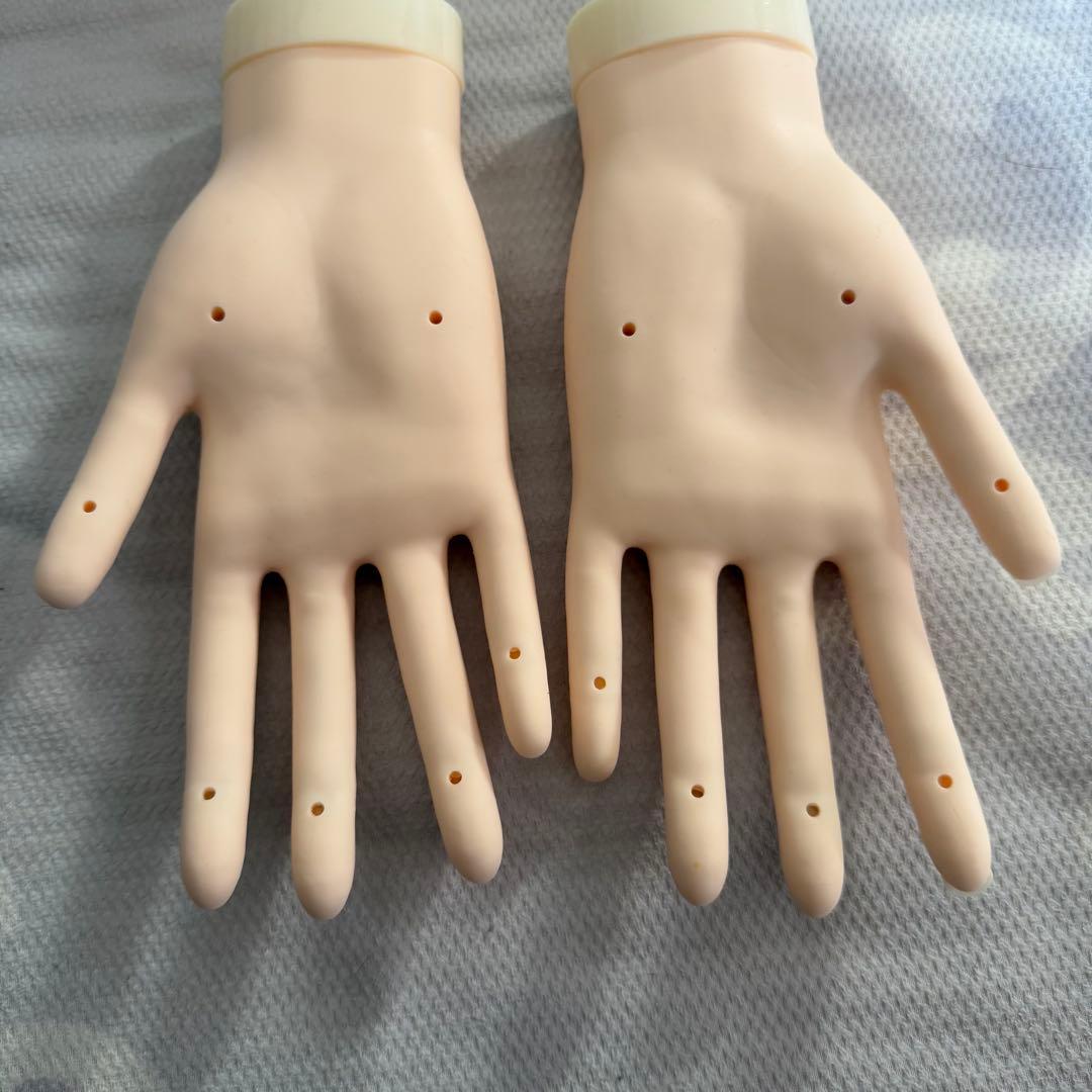 【箱無し】ネイリスト技能検定試験 JNEC認定モデルハンド セット