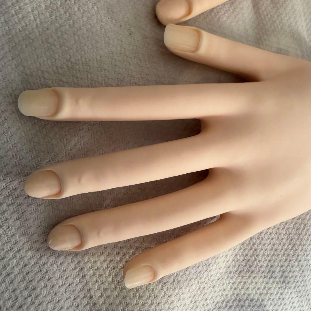 【箱無し】ネイリスト技能検定試験 JNEC認定モデルハンド セット