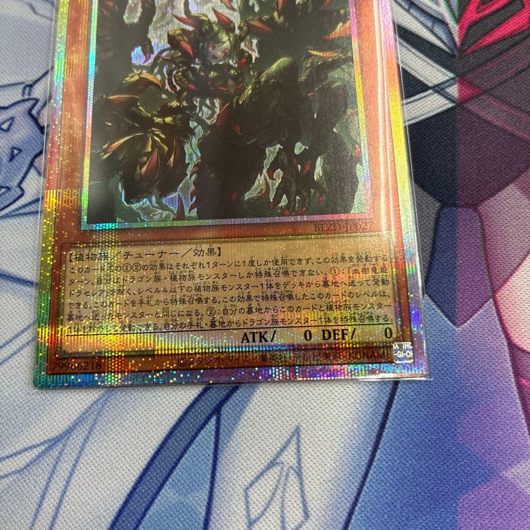 血樹竜姫ドラセレア プリシク - メルカリ