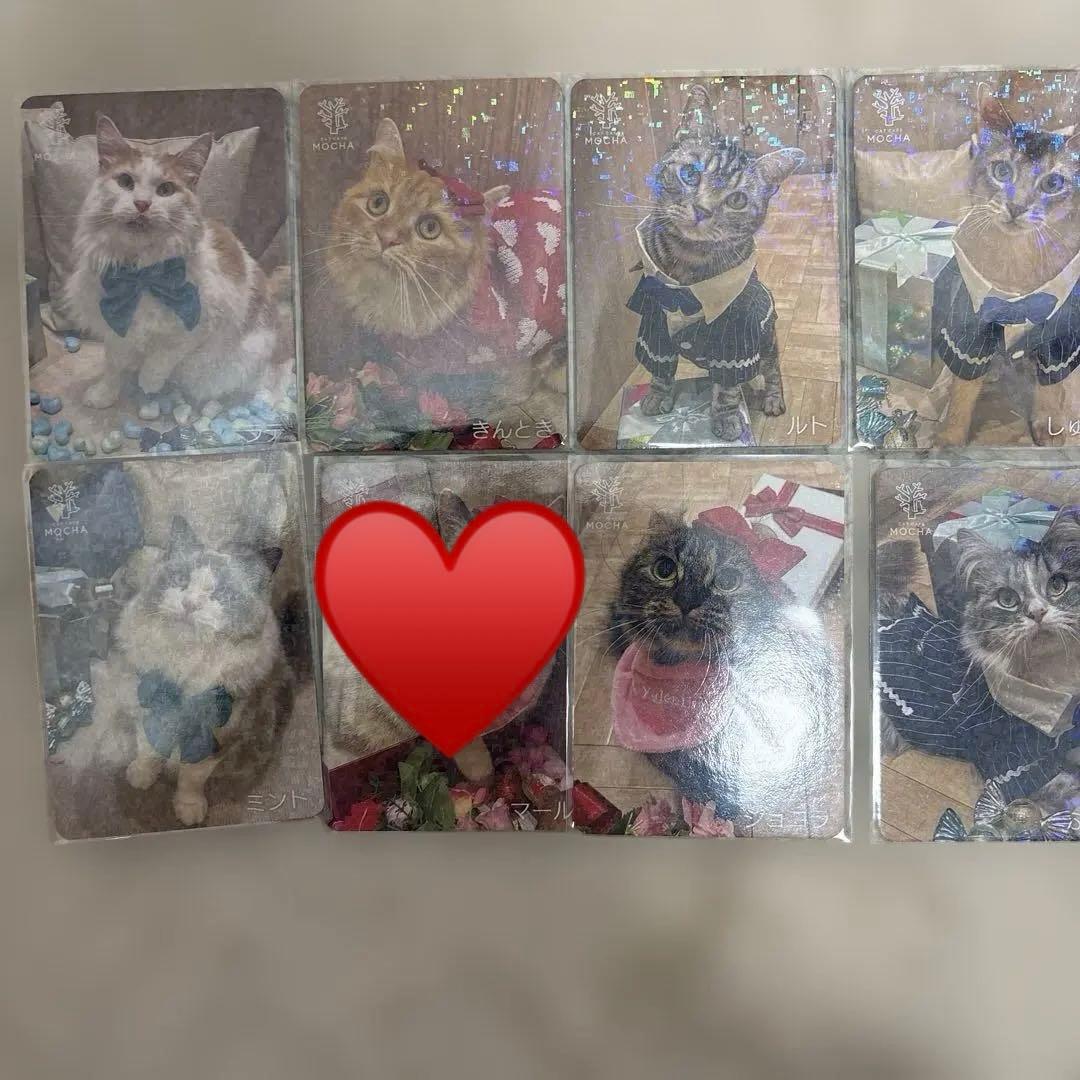 猫カフェMOCHA 】イオンモール羽生店 2025年 冬 WINTER トレカ - メルカリ