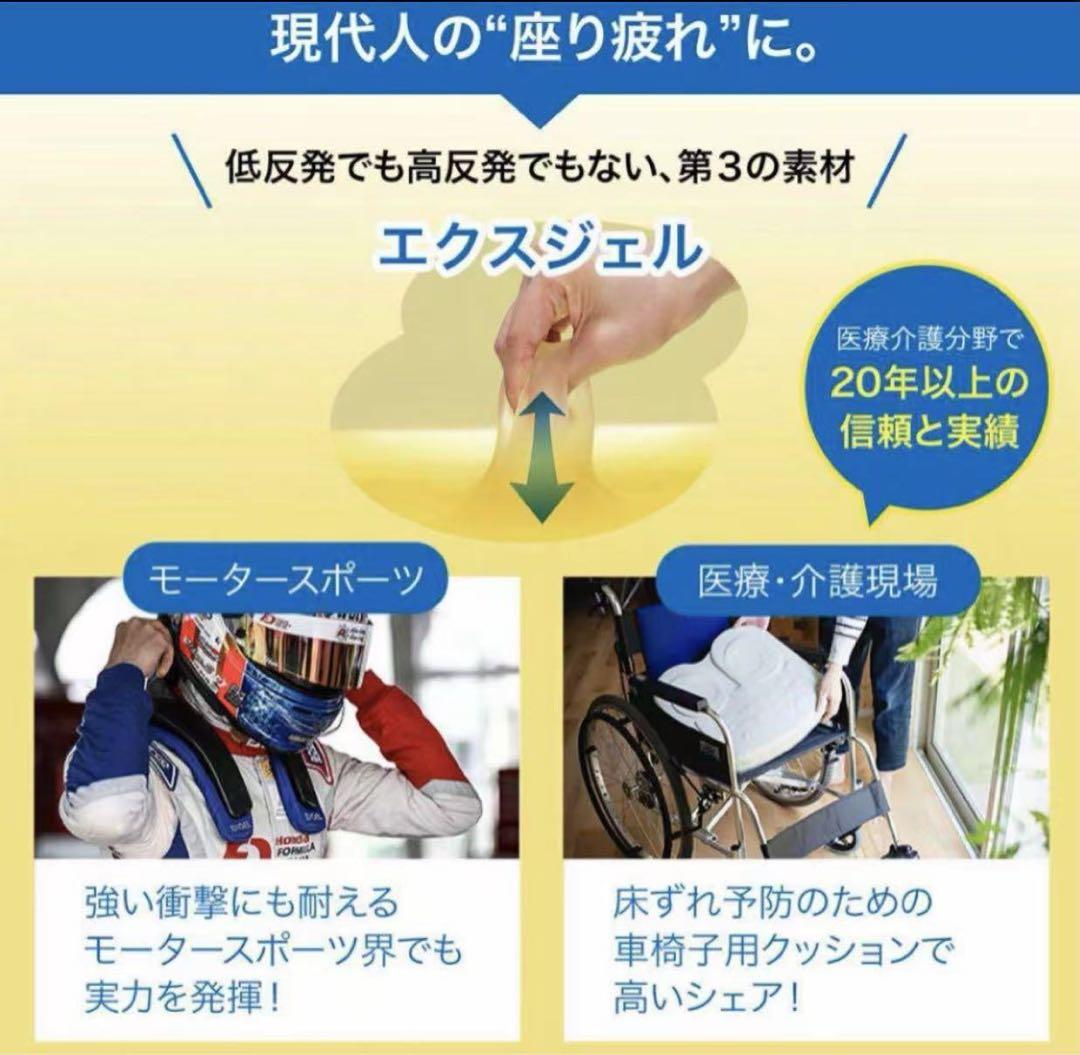 エクスジェル メーカー公式 EXGEL ハグ床座LXマイスター HUY21-CG