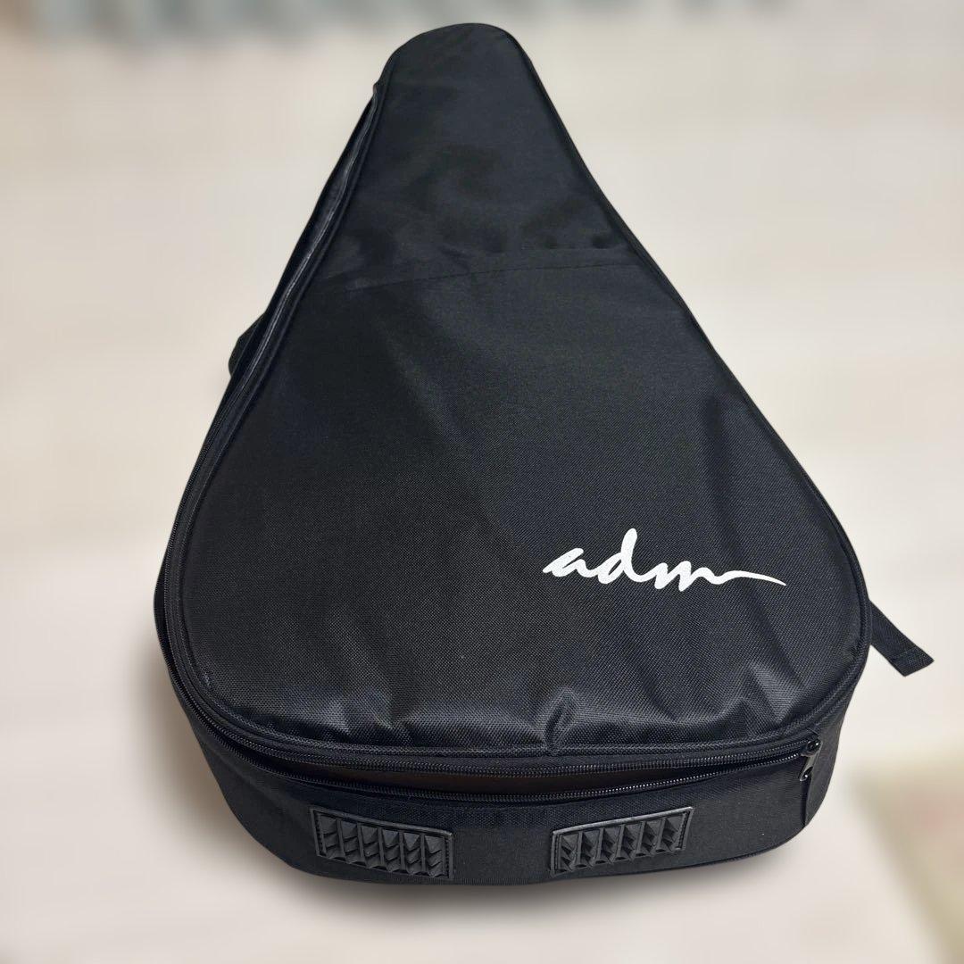 LAVA ME アコースティックギター パープル