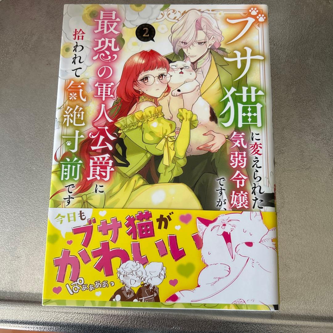 ブサ猫に変えられた気弱令嬢ですが、最恐の軍人公爵に拾われて気絶寸前