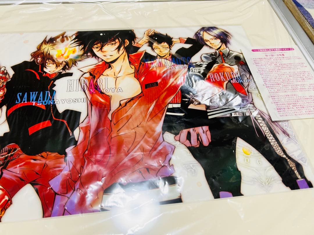 【12/15まで】家庭教師ヒットマンREBORN！複製原画 6人