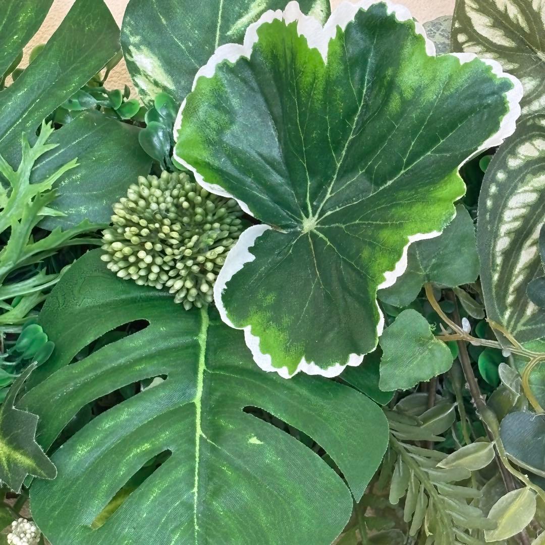 沢山の再販　光触媒加工ウォールグリーン♡横長♡