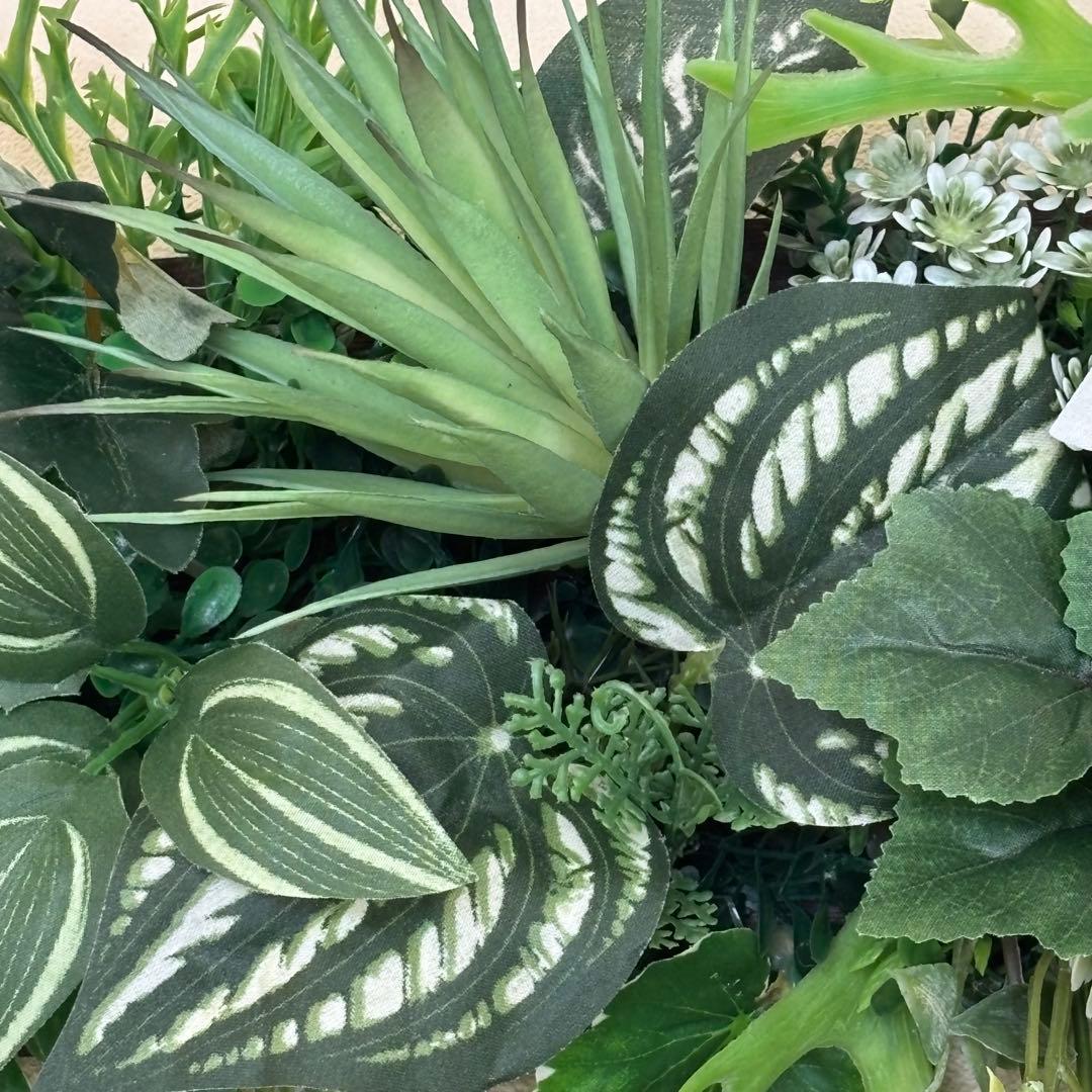 沢山の再販　光触媒加工ウォールグリーン♡横長♡