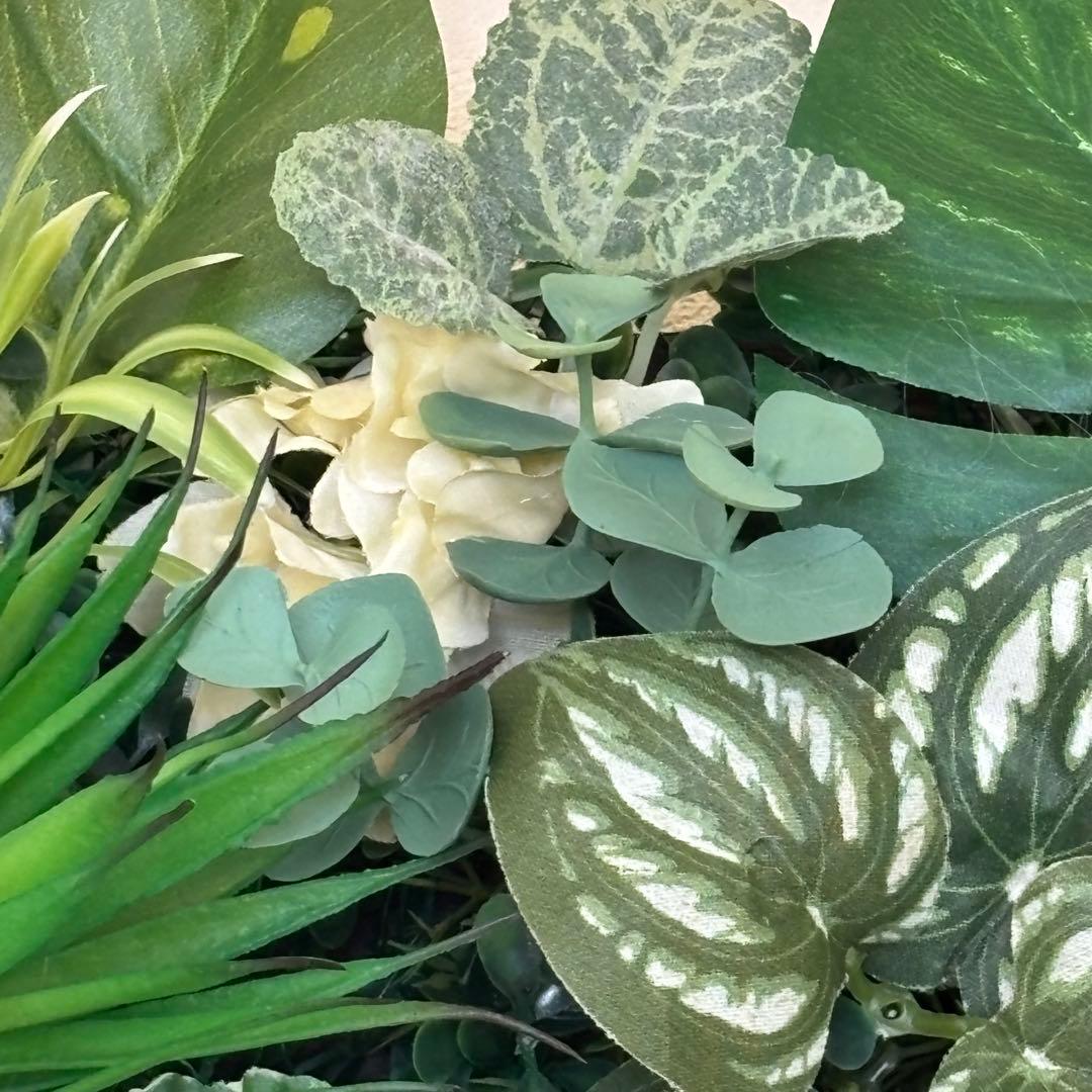 沢山の再販　光触媒加工ウォールグリーン♡横長♡