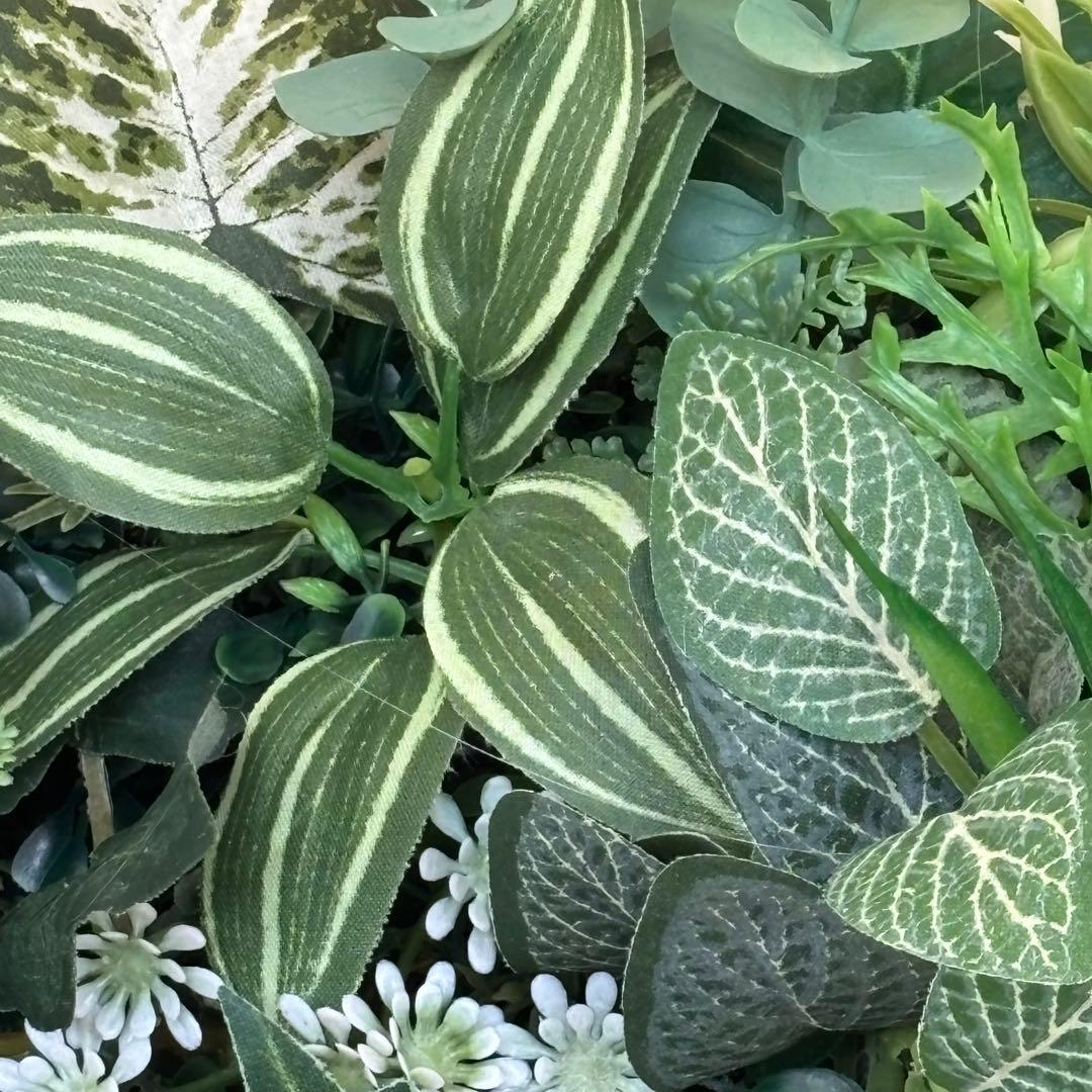 沢山の再販　光触媒加工ウォールグリーン♡横長♡