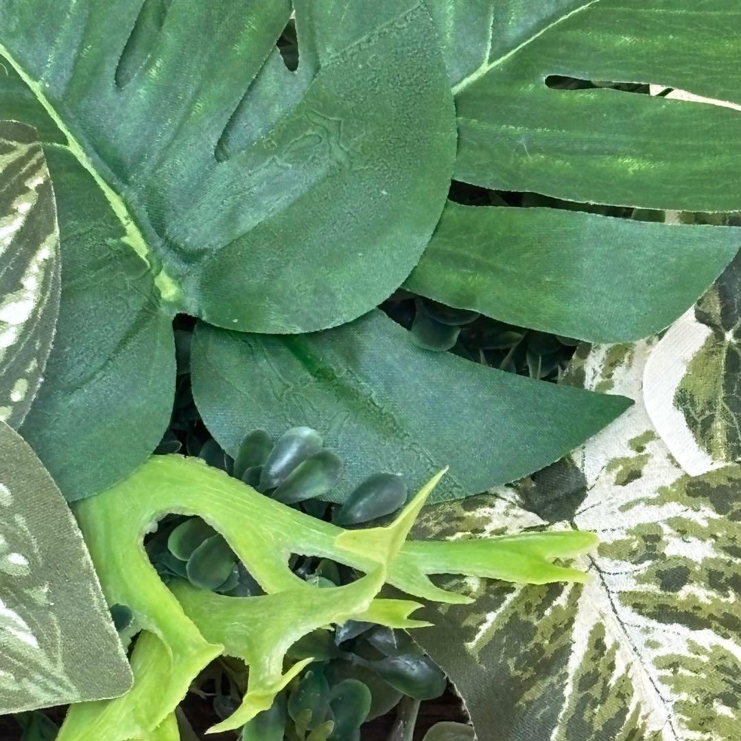 沢山の再販　光触媒加工ウォールグリーン♡横長♡