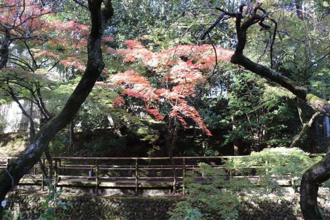 希少】初音ミク 日本 京都 北野天満宮 アクリルパネル B4 もみじ苑