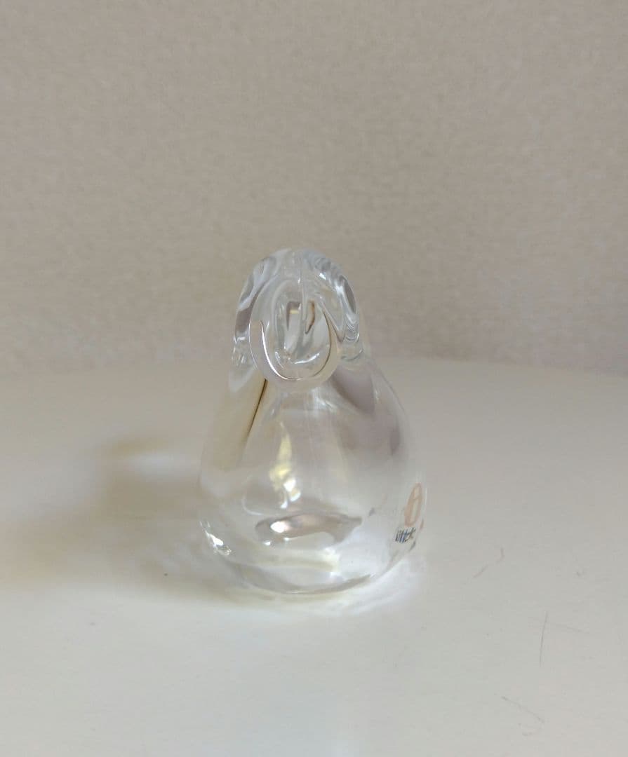 イッタラ シエッポ　クリア×クリア　レアカラー　scope