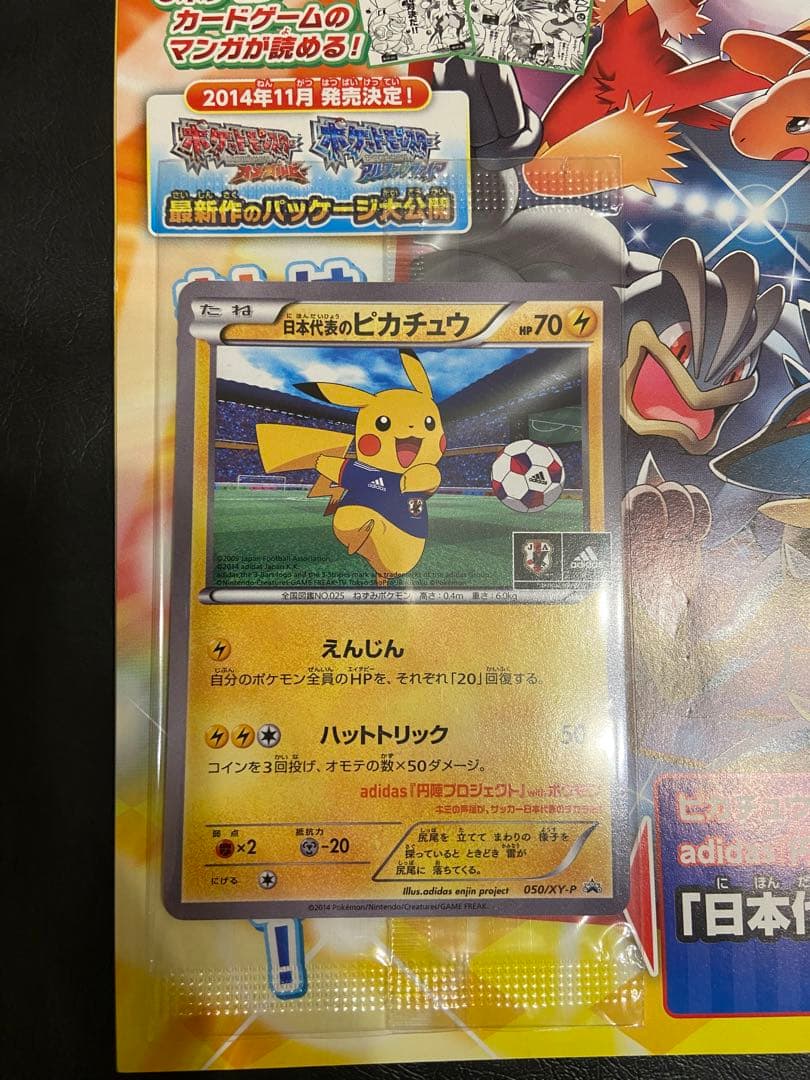 日本代表のピカチュウ カード 未開封 冊子付き 日本代表 ピカチュウ