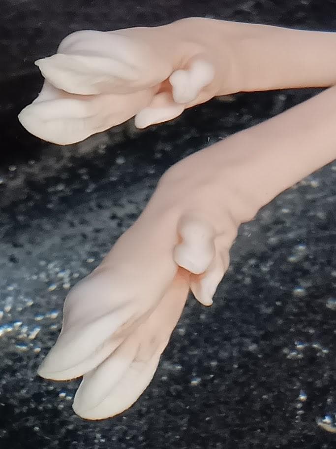 学術標本 ニホンジカ胎児♀ 頭胴長約14cm 70％エタノール浸漬標本