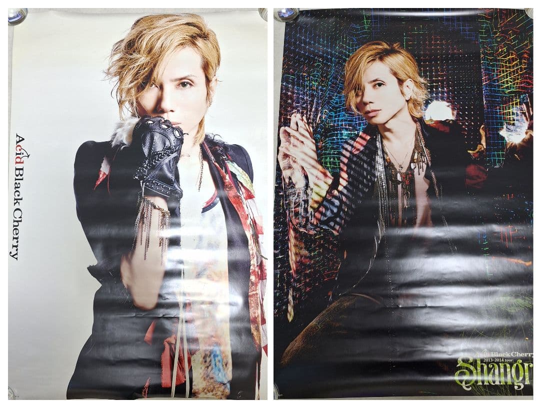 Acid Black Cherry 両面ポスター - メルカリ