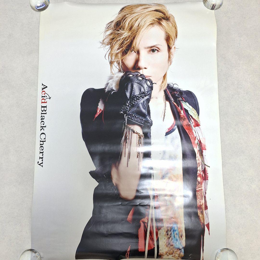 Acid Black Cherry 両面ポスター - メルカリ
