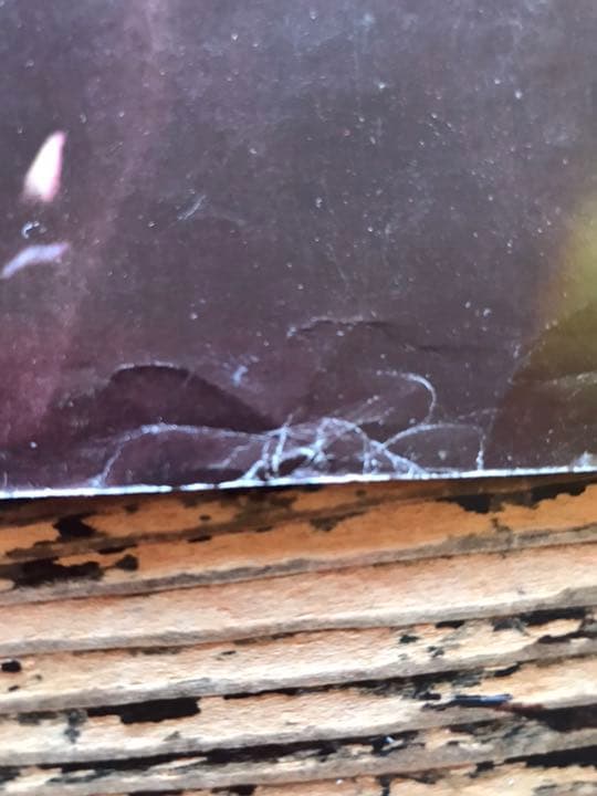 1972年 ヴィンテージ ウーマンリブ ポスター - メルカリ