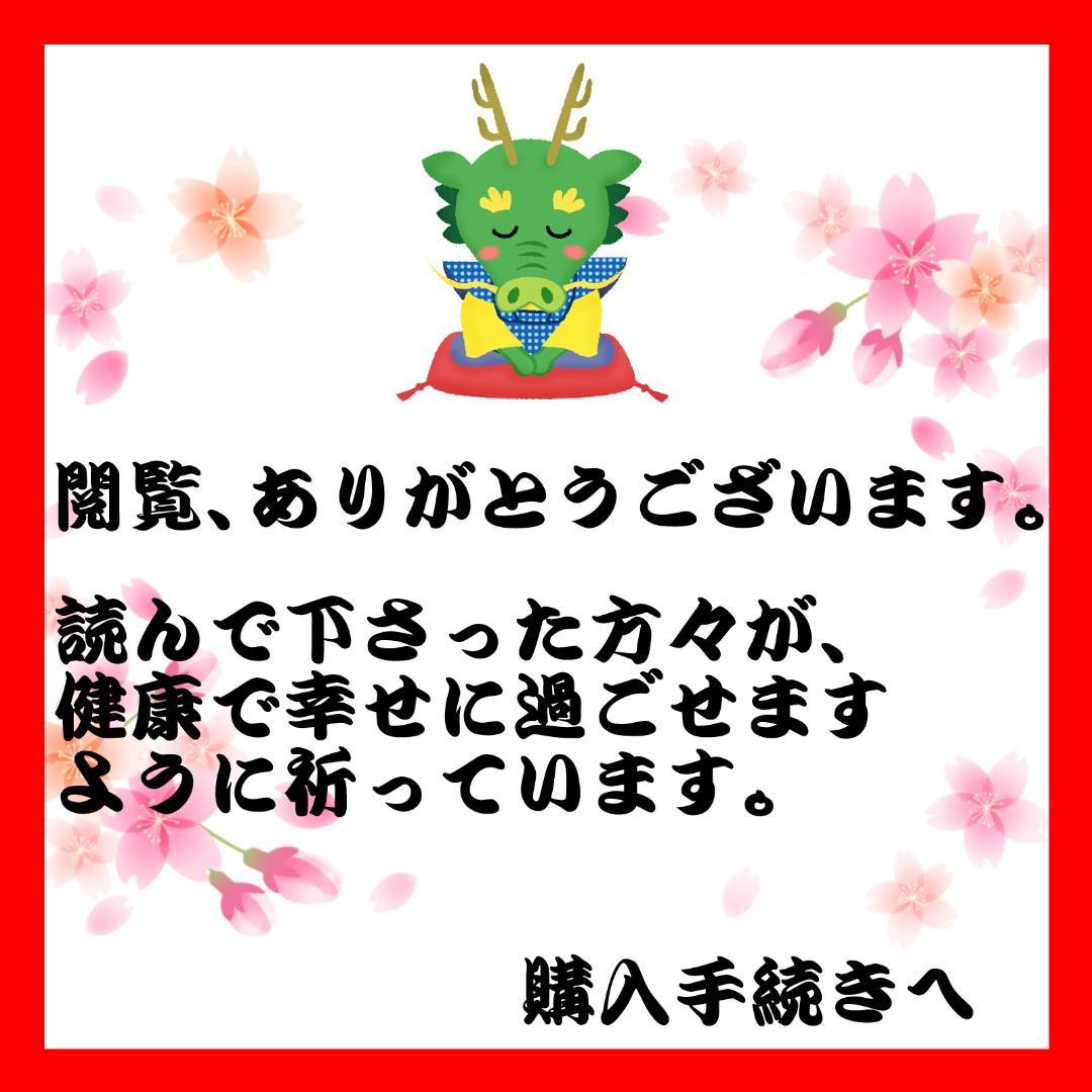 【フォロワー限定1000円企画】遊戯王 OCG カード 2枚セット