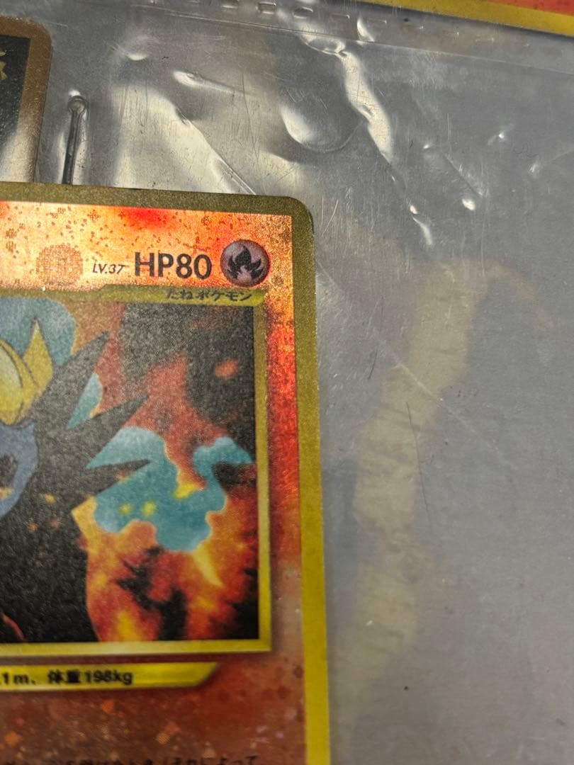 旧裏 ポケモンカード neo プレミアムファイル2