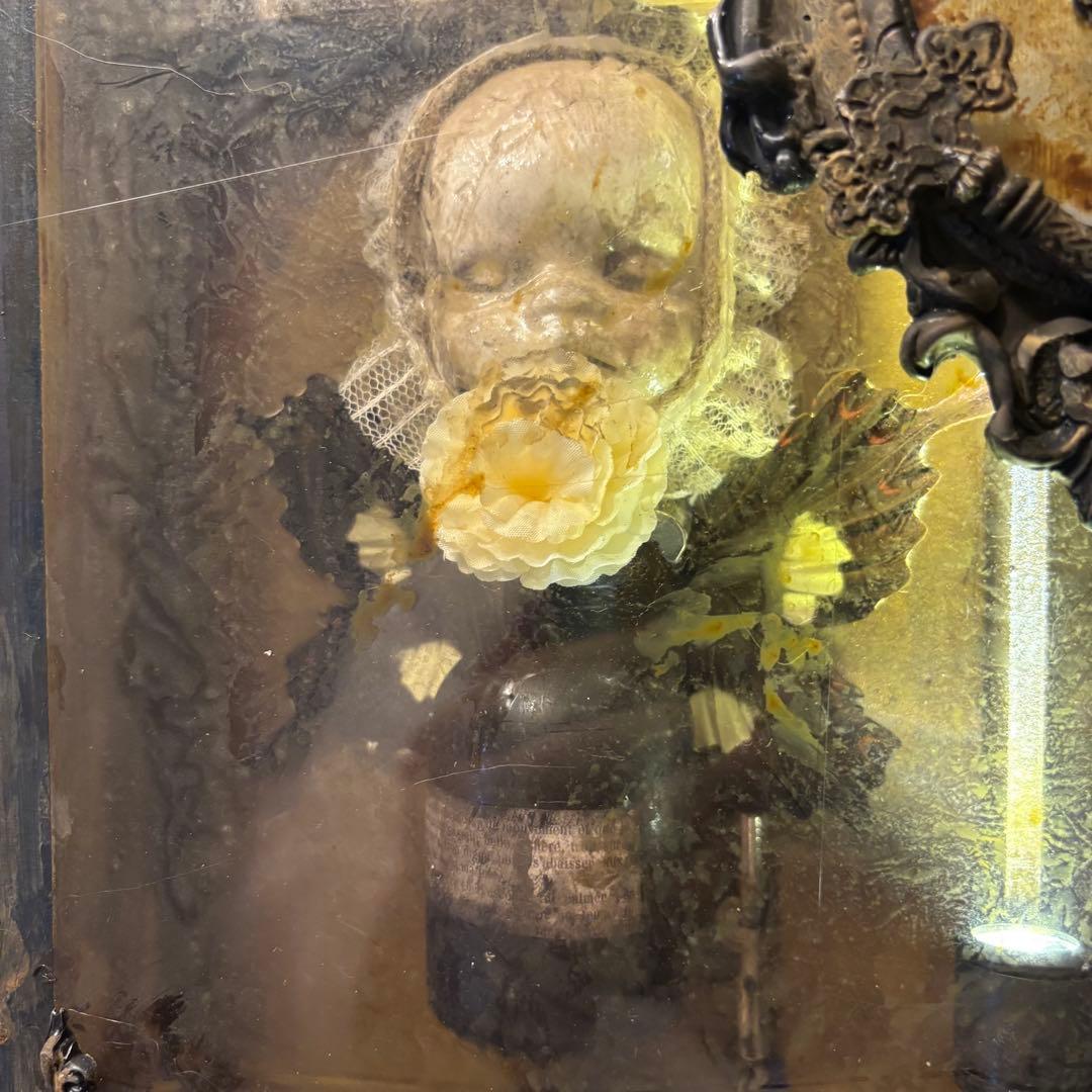 【Special Price】 幼女解剖学オブジェ