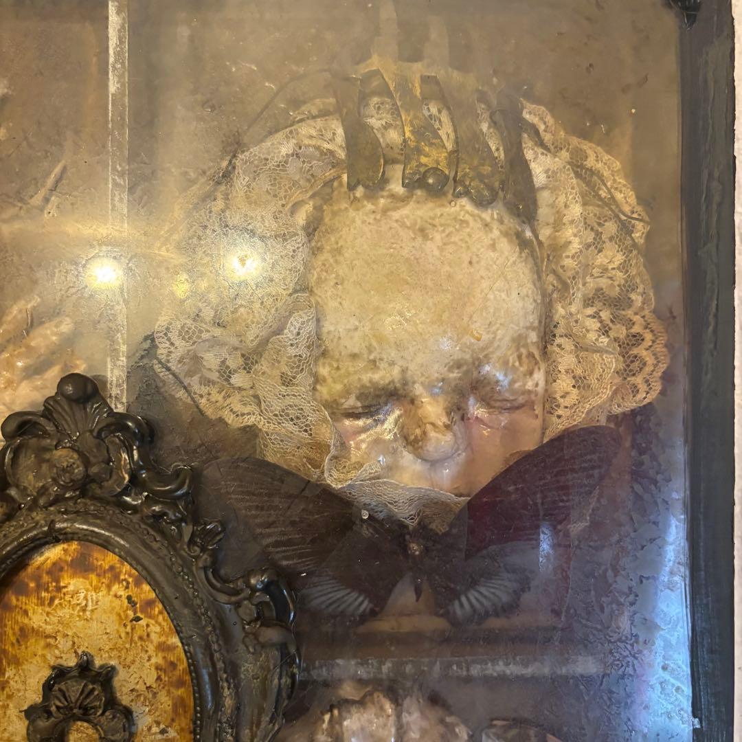 【Special Price】 幼女解剖学オブジェ