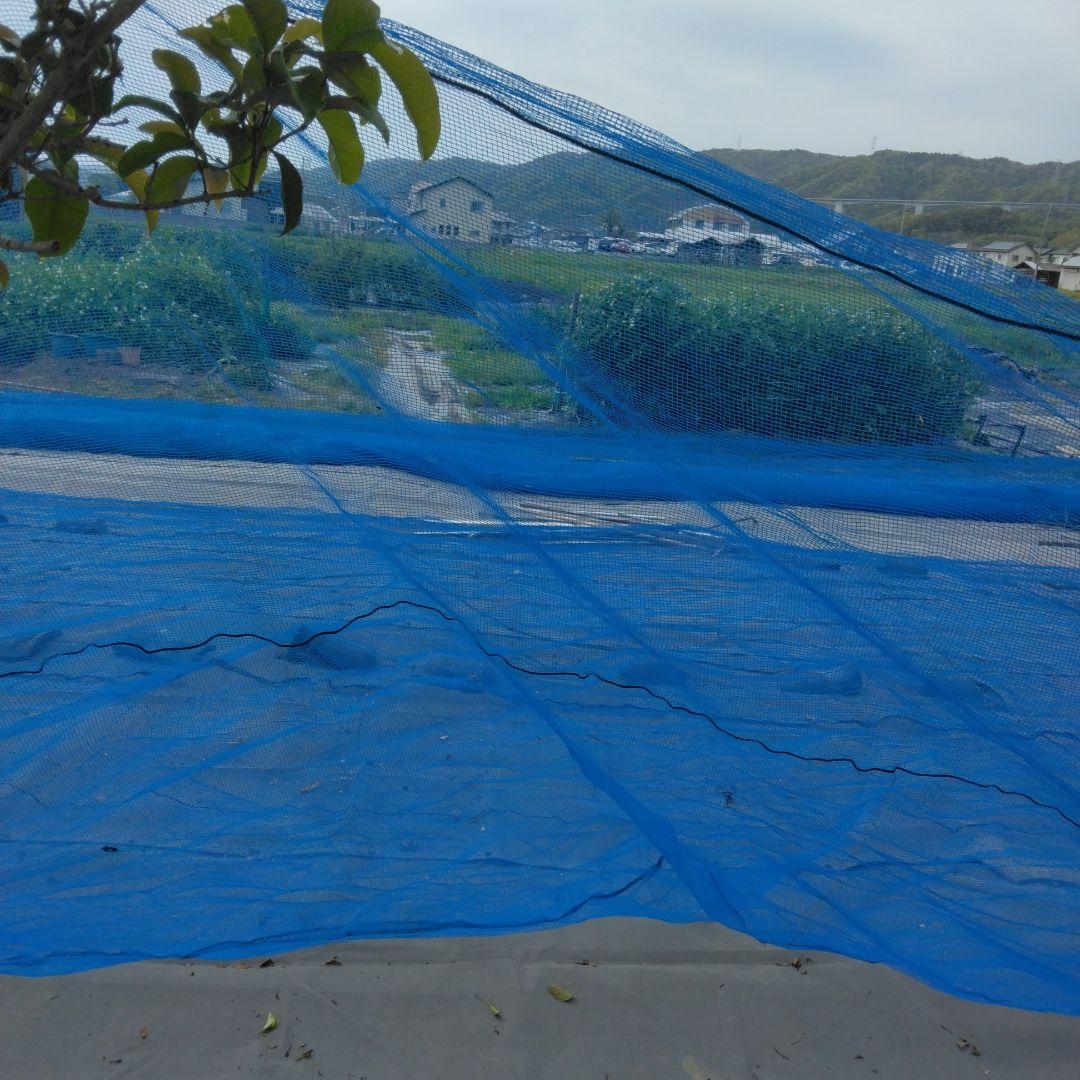 防鳥ネット、防獣ネット、農業ハウス取り外しネットの通販