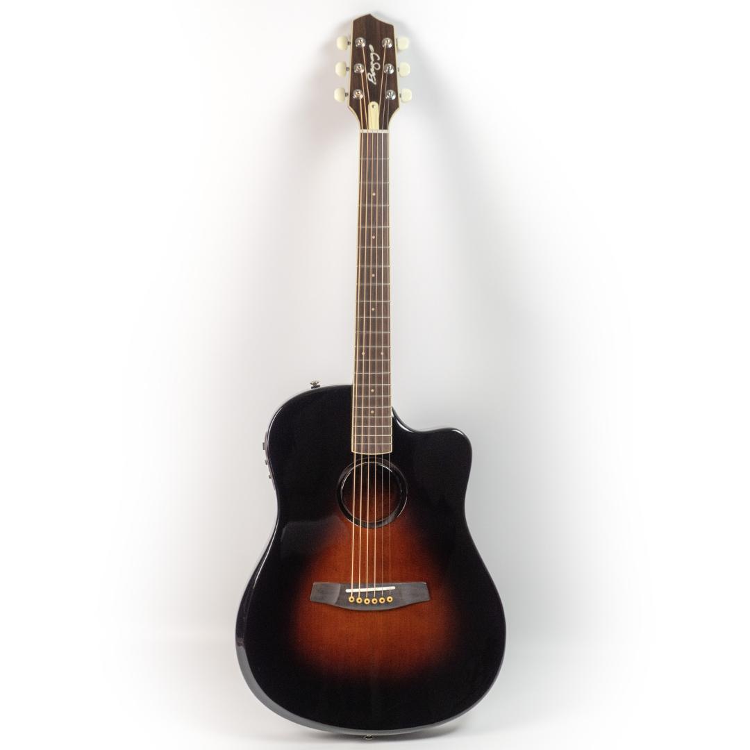 L.R.Baggs AEG-1 SB サンバースト・シトカ・スプルース 箱無特価