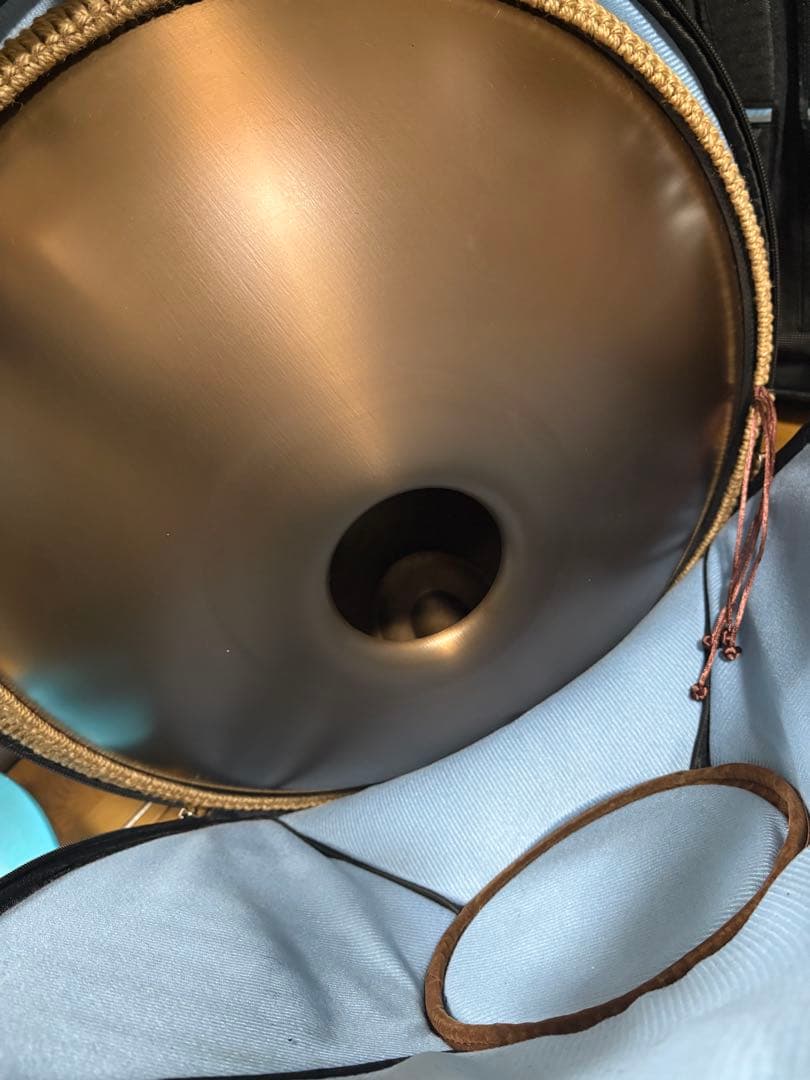 ハンドパン12音　440Hz 55.88cm Dマイナー