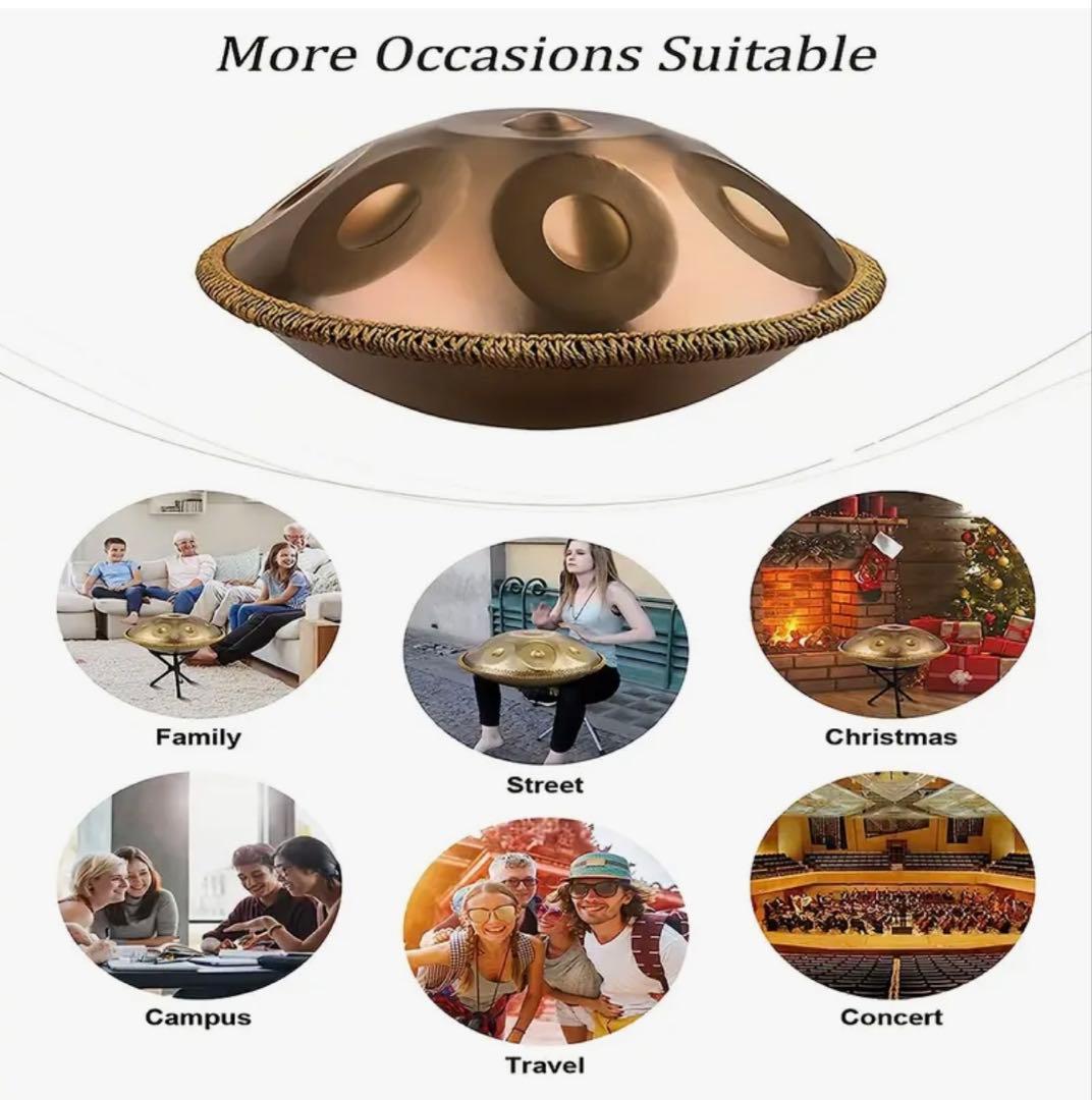 ハンドパン12音　440Hz 55.88cm Dマイナー