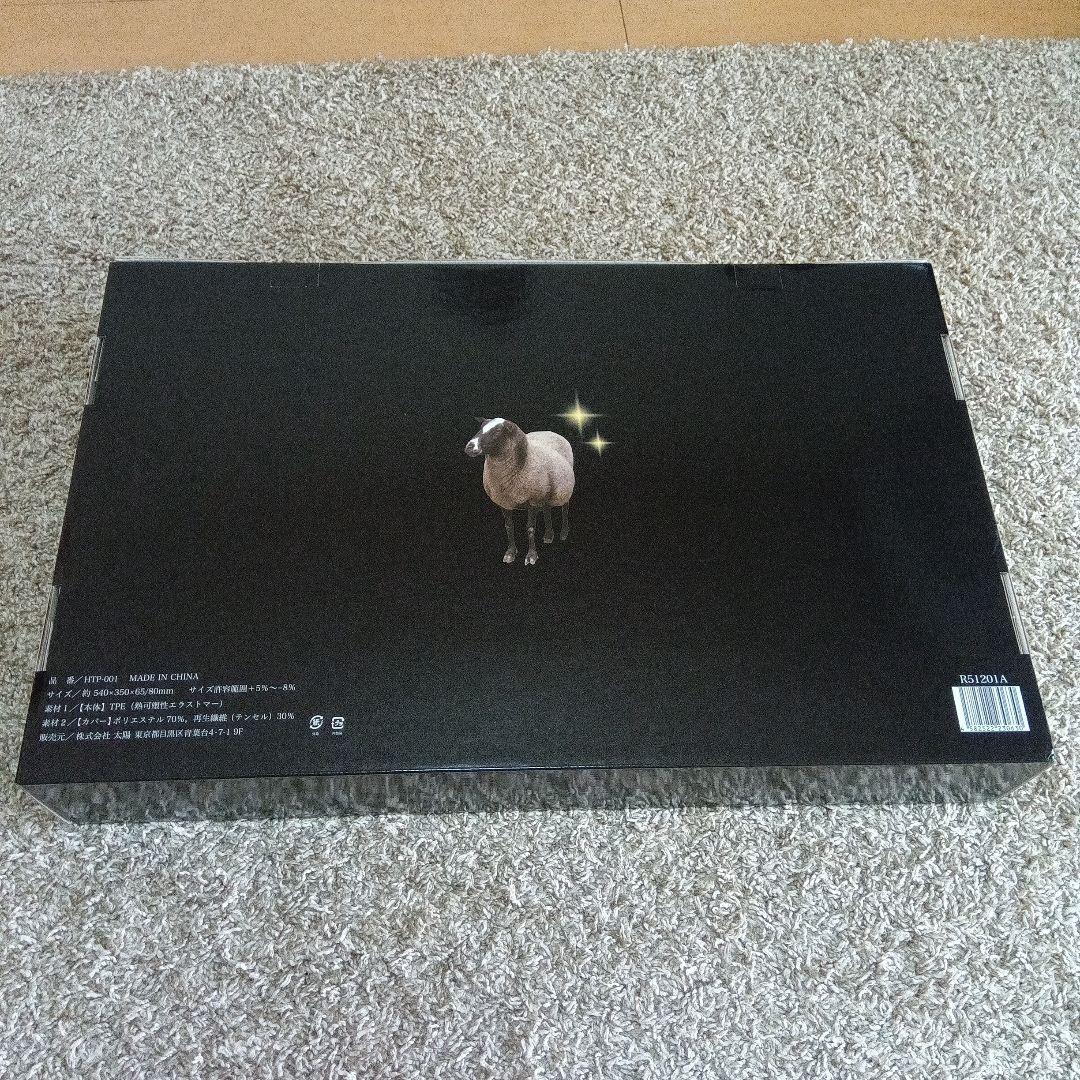 ビツンいらない枕 プレミアム ブラック　専用カバー付き　美品