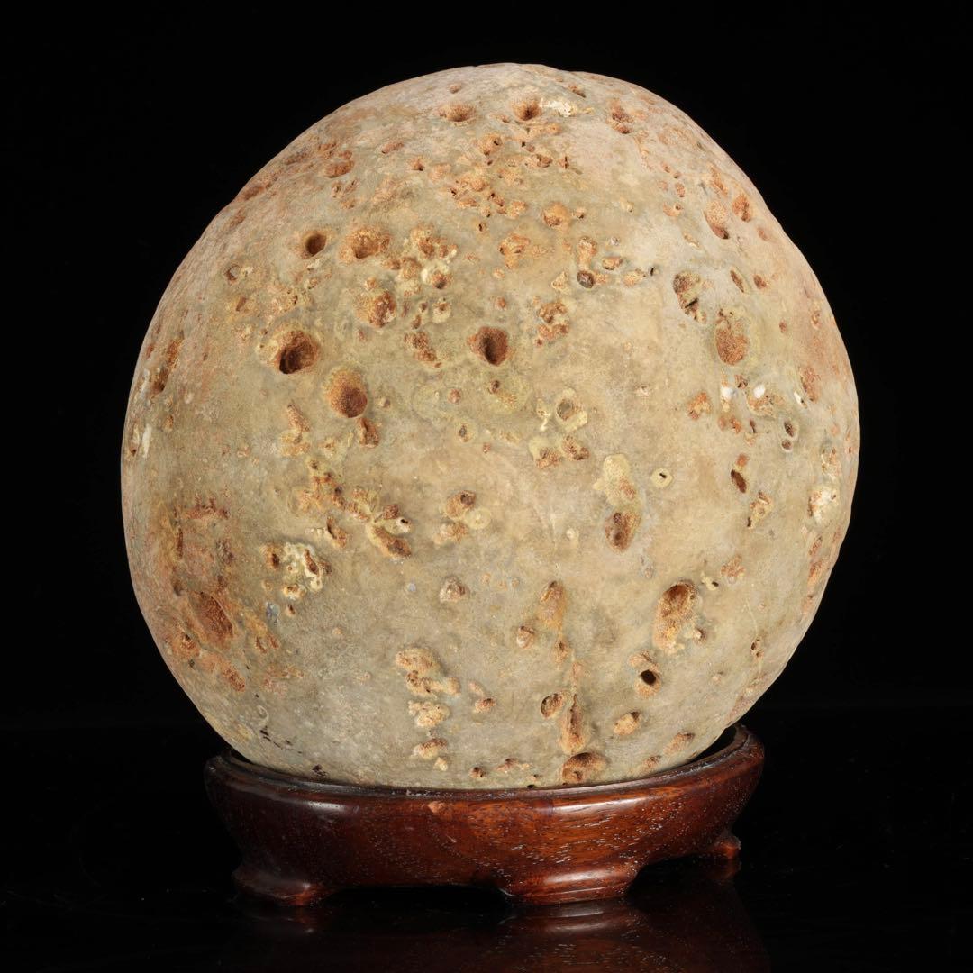 大型 多孔質 景石 火山岩系 5.8kg 台座付 自然石 鑑賞石 盆石 盆景