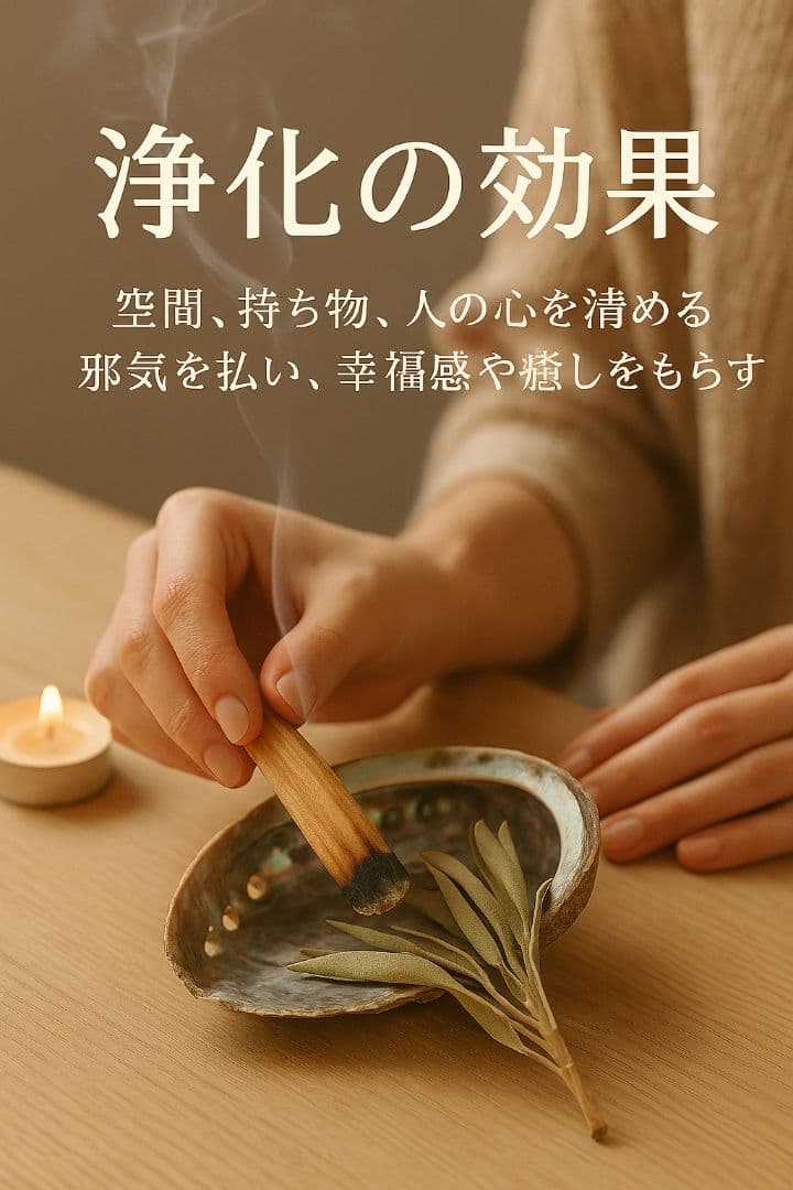 激安価格☆無農薬アウトレットホワイトセージ1KG箱入りお香浄化業務用価額