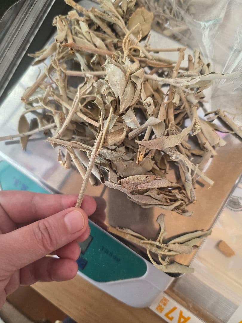 激安価格☆無農薬アウトレットホワイトセージ1KG箱入りお香浄化業務用価額