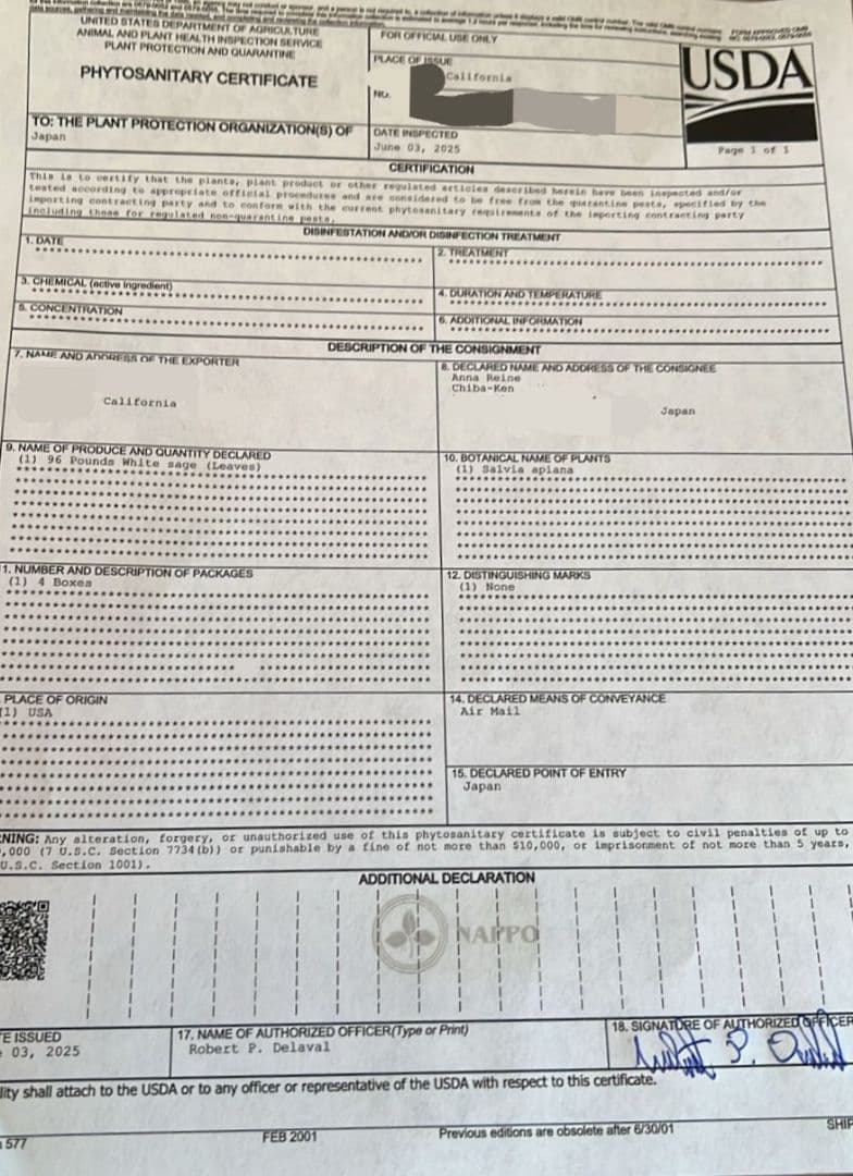 激安価格☆無農薬アウトレットホワイトセージ1KG箱入りお香浄化業務用価額