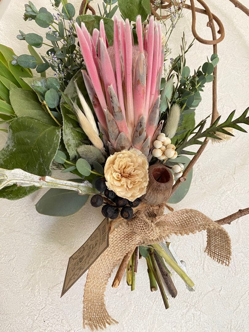 sold プロテアリース