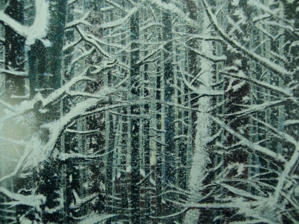 岡鹿之助、【林】、希少な大判額装用画集より、美品、日本人画家、新品