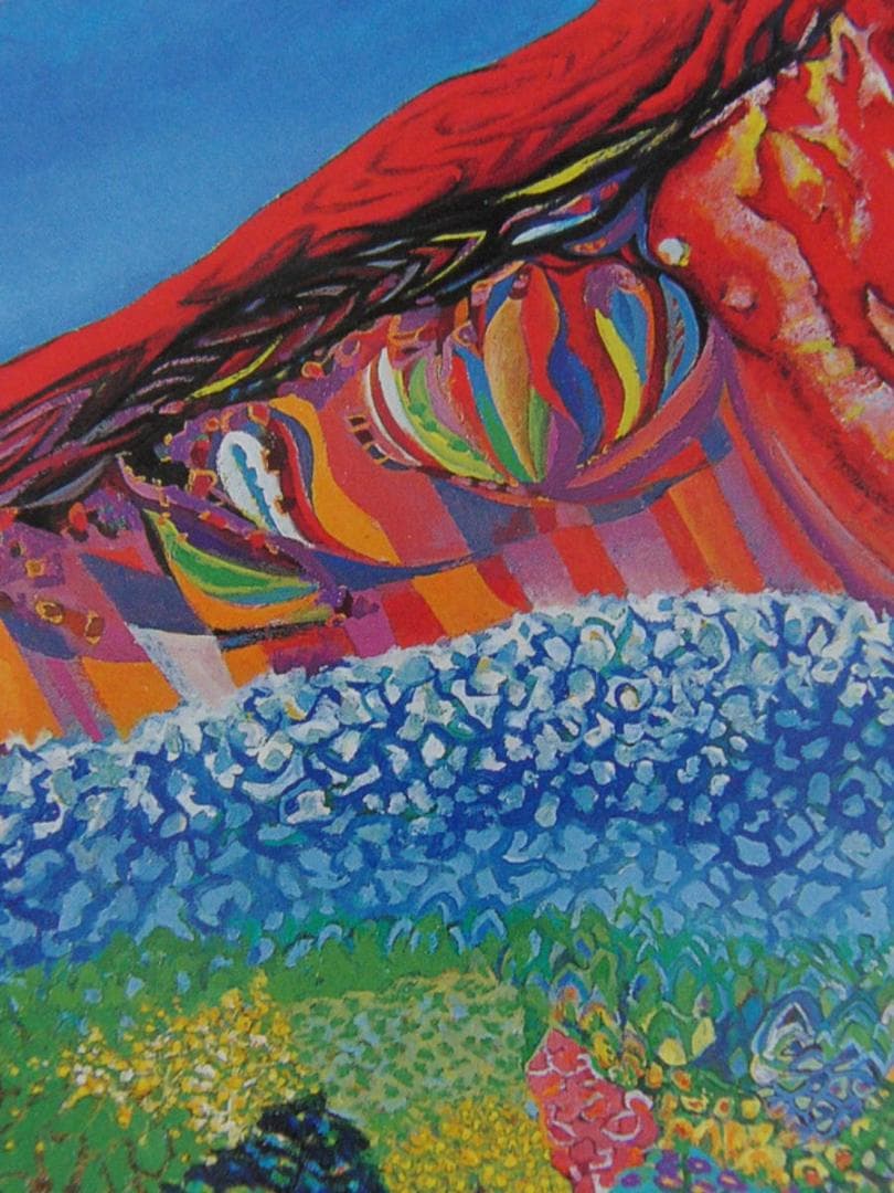 三輪孝一、【桜島ライブ】、希少な額装用画集より、新品額装付、状態良好