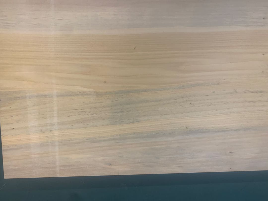 ☆勿体ない大きなイチョウのまな板【サイズ㎜865✖︎395厚み40】魚ジビエ