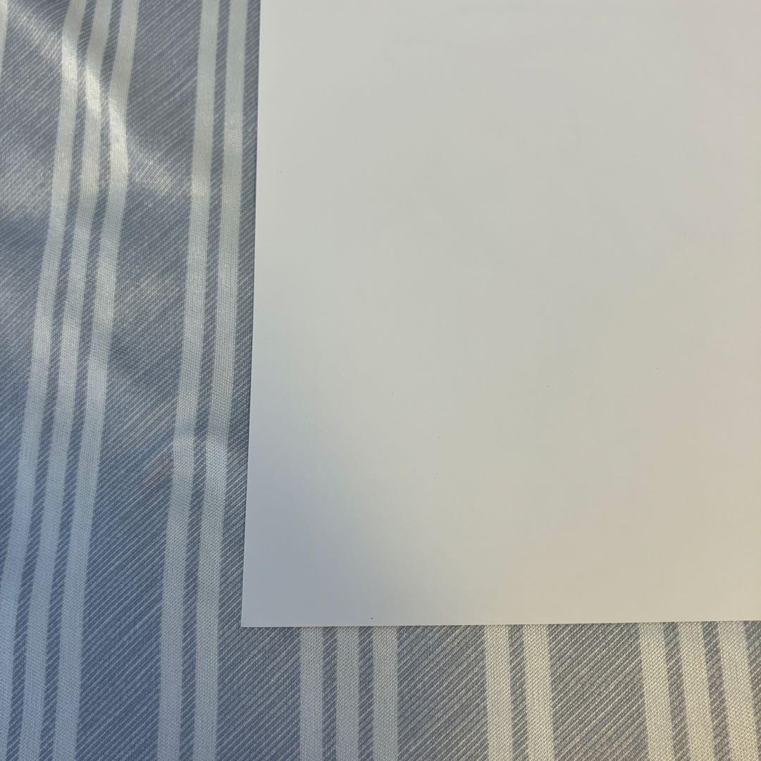 ガールフレンド（仮） 月隈林子役 鈴木みのり 直筆サイン入りポスター