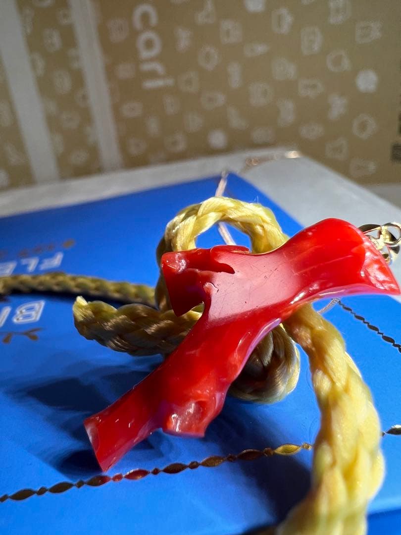 【極上の純国産☆】天然　血赤サンゴ　高知県産　9.542ct k18ペンダント