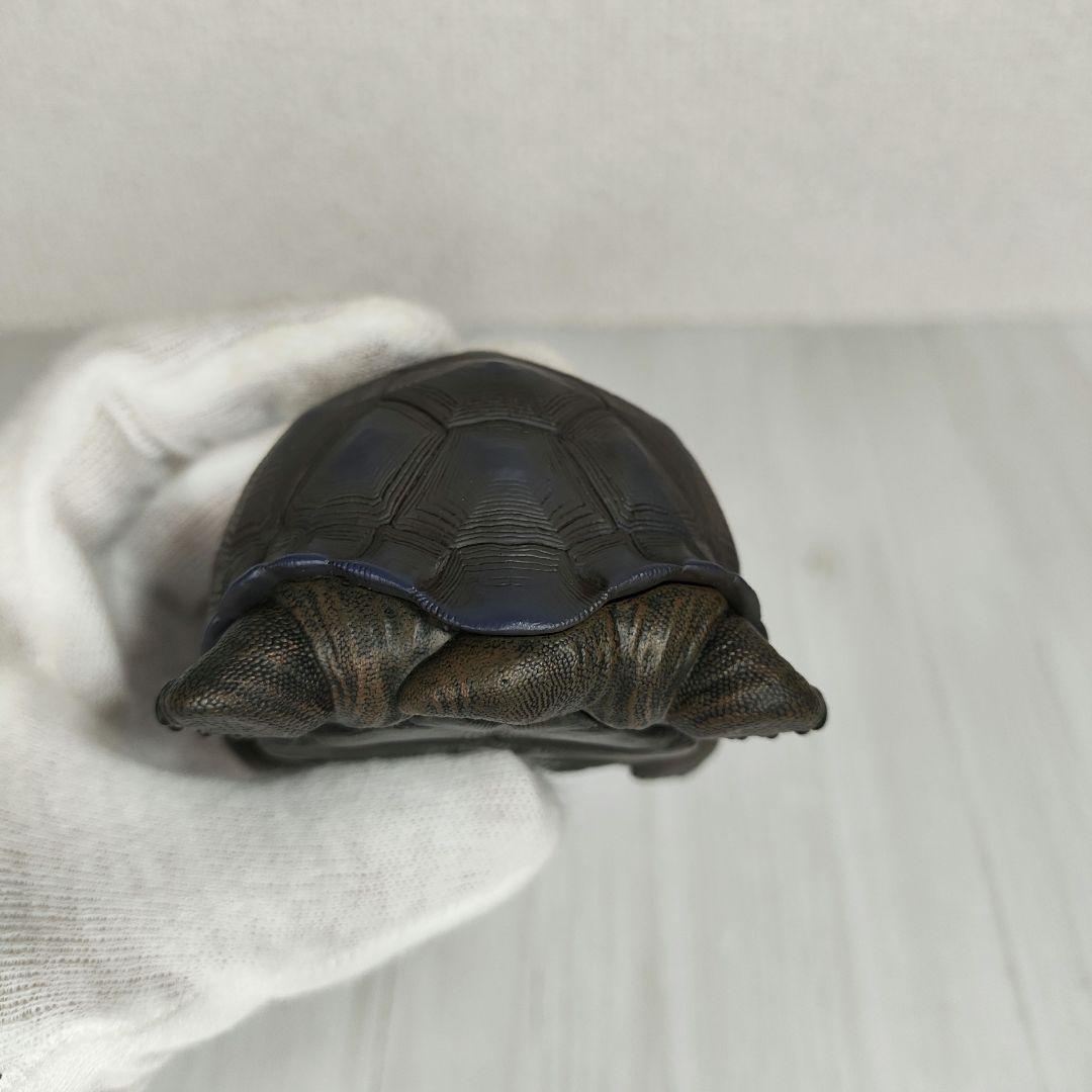 動物の惑星】レア☆ガラパゴスゾウガメ（シークレット）☆フィギュア