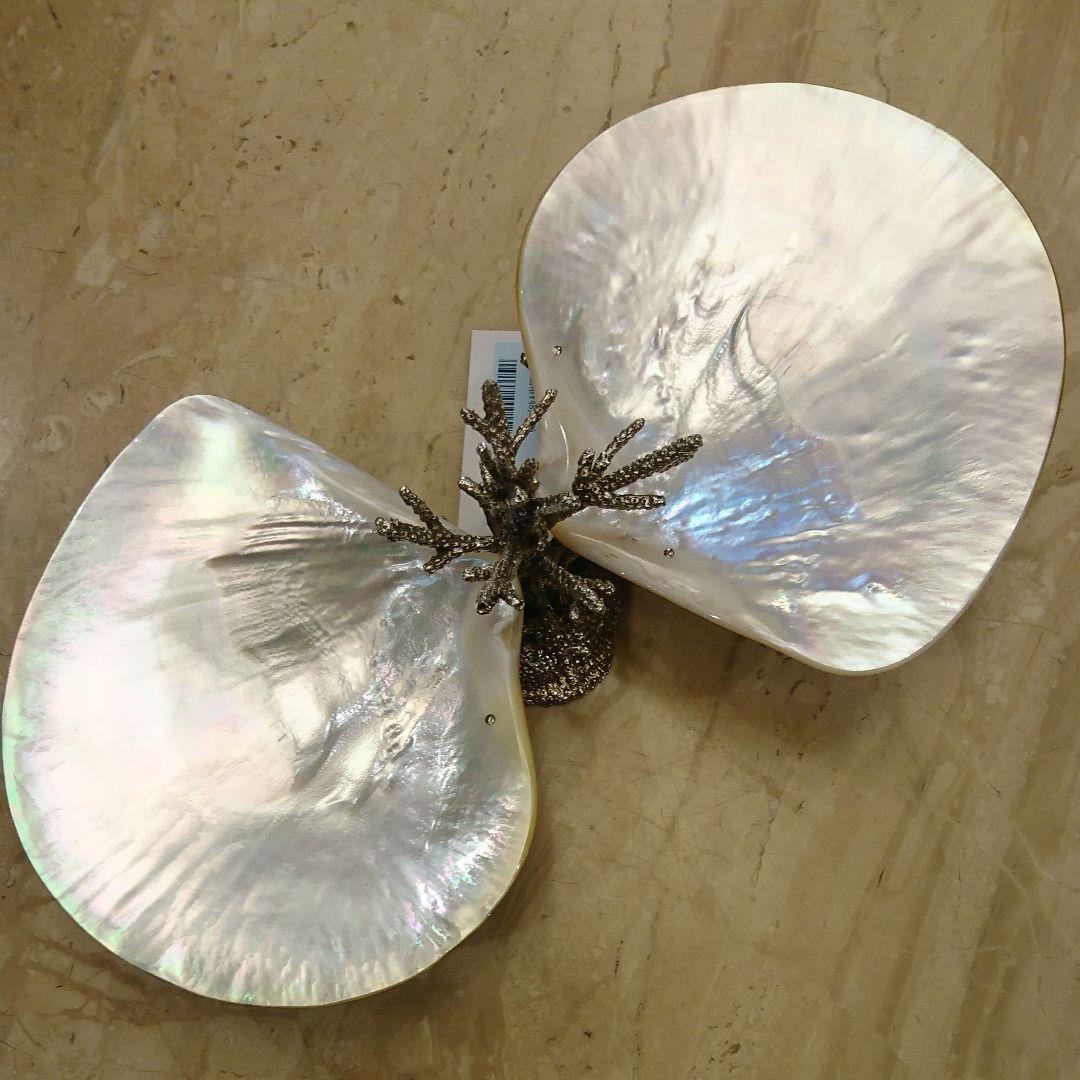 珊瑚のディッシュ