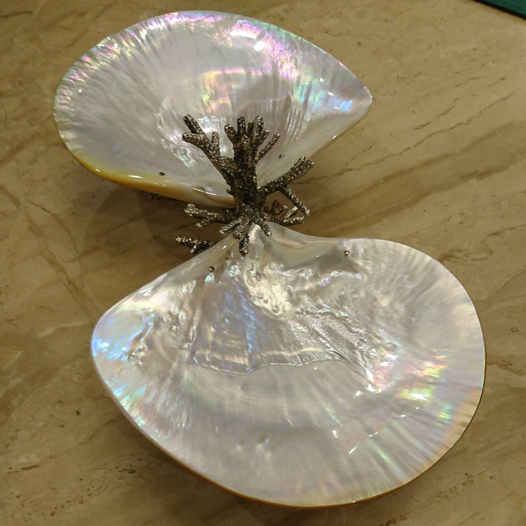 珊瑚のディッシュ