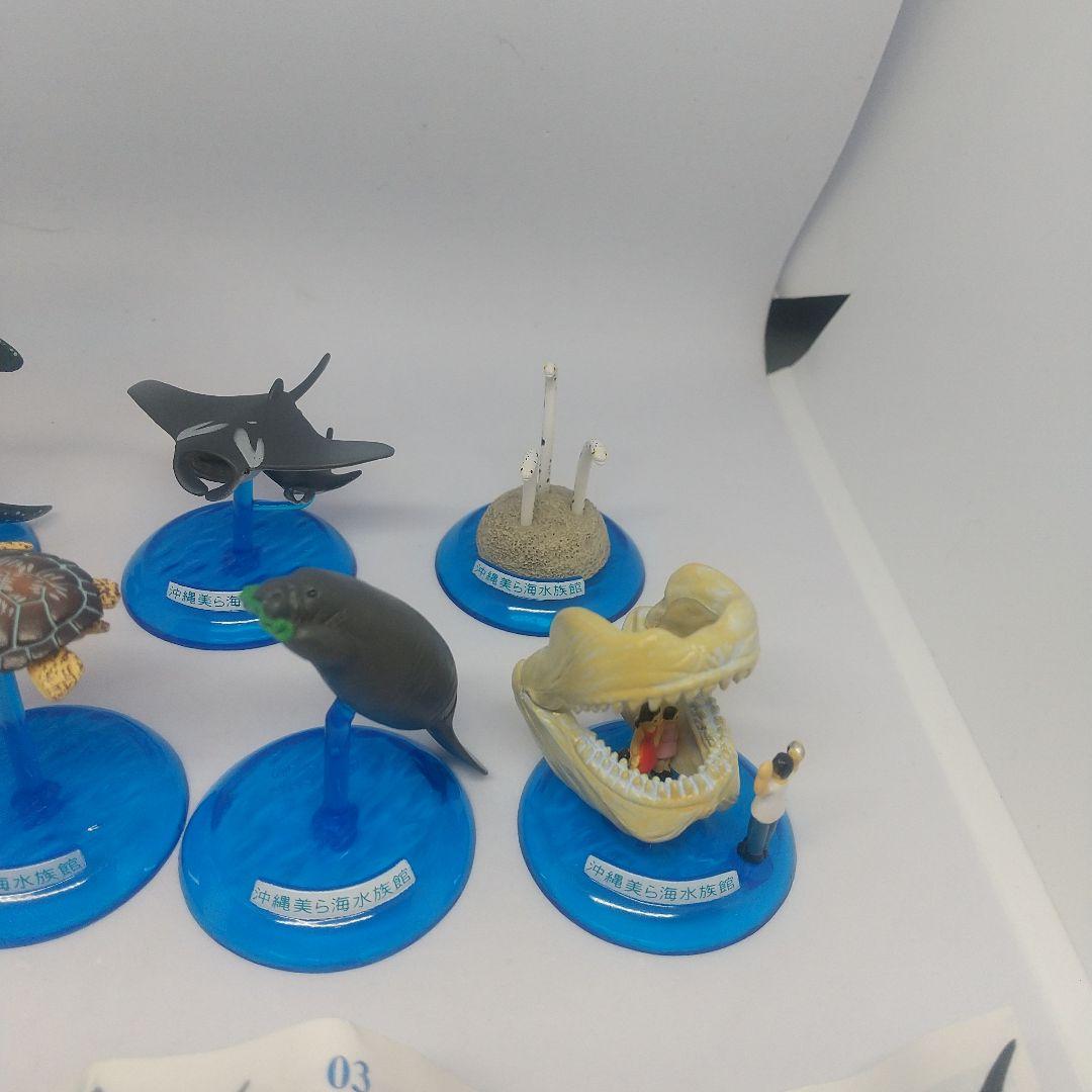 沖縄 美ら海水族館 カプセルフィギュア コレクション - メルカリ