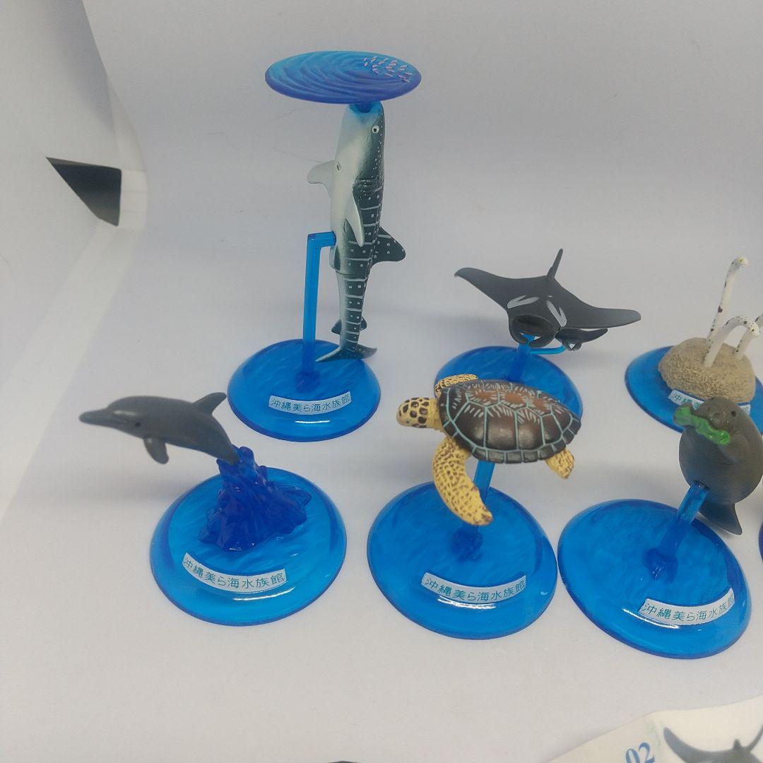沖縄 美ら海水族館 カプセルフィギュア コレクション - メルカリ